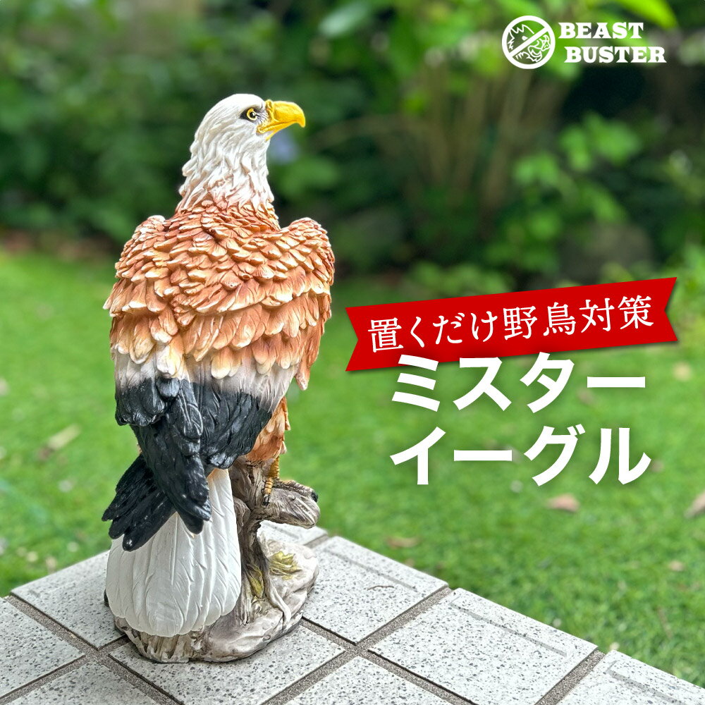 楽天市場】鷲 置物(花・ガーデン・DIY)の通販 楽天市場】鷲 置物(花・ガーデン・DIY)の通販