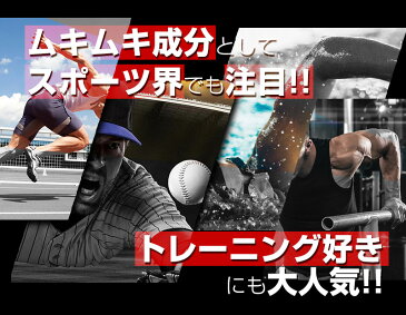 HMB トップギアプロ HMB TOPGIA PRO 筋肉 トレーニング BCAA クレアチン