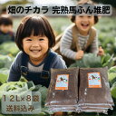 【送料込み】畑・菜園用馬ふん堆肥「畑のチカラBOROの輝き」12L×8袋 マルチ使用 土づくり 地植え 堆肥 馬ふん 馬糞 馬フン たい肥 プランター栽培 家庭菜園 土壌改良 馬糞堆肥 植替え 有機堆肥 有機肥料 肥料 培養土 完熟堆肥 お馬の堆肥 おがくず 土壌改良材