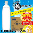 【お買い物マラソンポイント1倍+1倍 4/17迄】2ケース24本セット ラベルレス レモン 炭酸水 1000ml × 12本 1ケース 強炭酸 【炭酸充填量5.0GV】