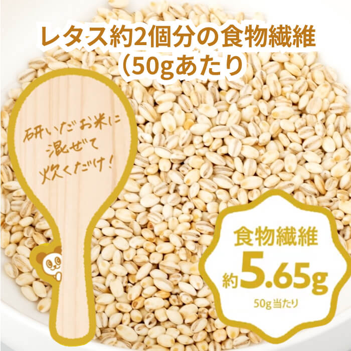 もち麦 国産 食物繊維 12包入り 個包装 計量不要 ご飯に混ぜる 白米 雑穀米 綿半プ...