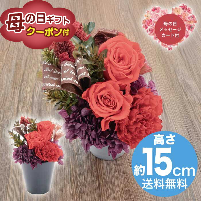 Rakuten - ＼期間限定500円OFFクーポン付／母の日 5/8-10お届け プリザーブドフラワー フルールスーリル レッド 2026 ギフト ブリザードフラワー HANA 花 hana お祝い プレゼント 5000円 送料無料 [直送商品]