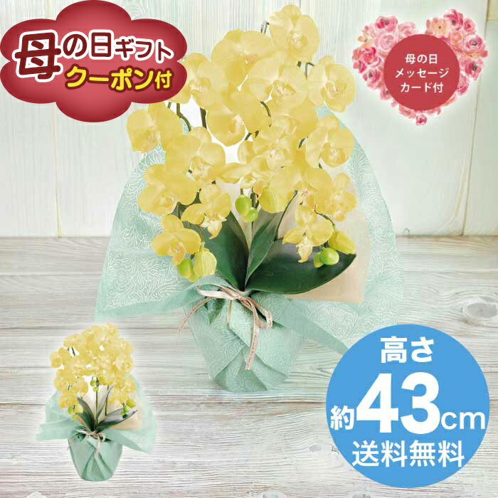 Rakuten - ＼期間限定500円OFFクーポン付／母の日 5/8-10お届け 造花 アーティフィシャルフラワー ミニ胡蝶蘭3本立ち　イエロー 2026 ギフト HANA 花 hana お祝い プレゼント 胡蝶蘭 5000円 送料無料 [直送商品]