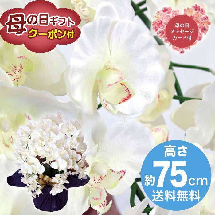 ＼早割880円OFFクーポン付／母...