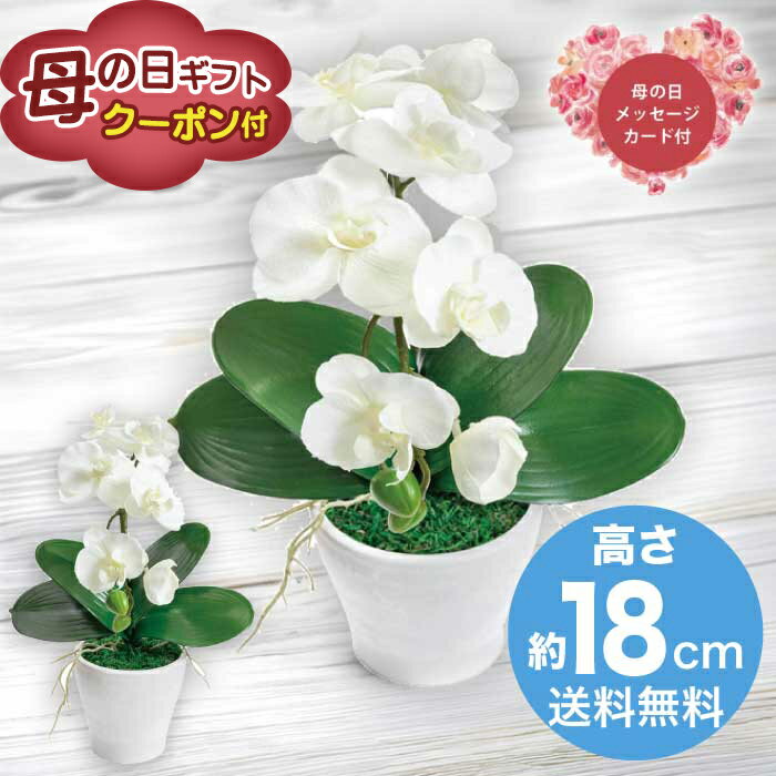 Rakuten - ＼期間限定500円OFFクーポン付／母の日 5/8-10お届け 造花 アーティフィシャルフラワー胡蝶蘭カラーズ　ホワイト 2026 ギフト HANA 花 hana お祝い プレゼント 胡蝶蘭 5000円 送料無料 [直送商品]