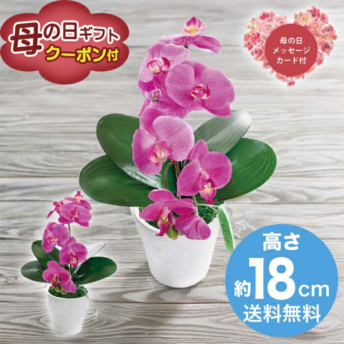 Rakuten - ＼期間限定500円OFFクーポン付／母の日 5/8-10お届け 造花 アーティフィシャルフラワー胡蝶蘭カラーズ　ダークラベンダー 2026 ギフト HANA 花 hana お祝い プレゼント 胡蝶蘭 5000円 送料無料 [直送商品]