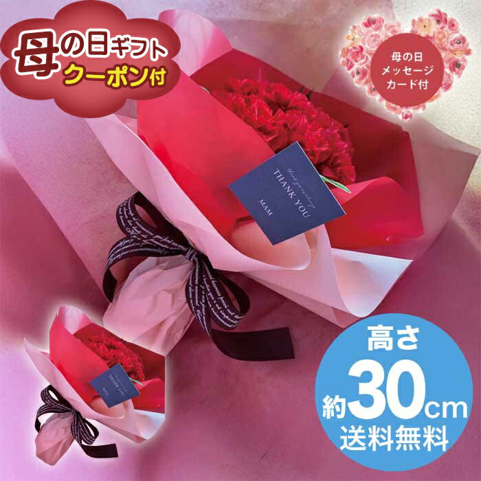Rakuten - ＼期間限定500円OFFクーポン付／母の日 5/8-10お届け 生花カーネーションブーケ　レッド 2026 ギフト 花 hana お祝い プレゼント ブーケ おしゃれ 5000円 送料無料 [直送商品]