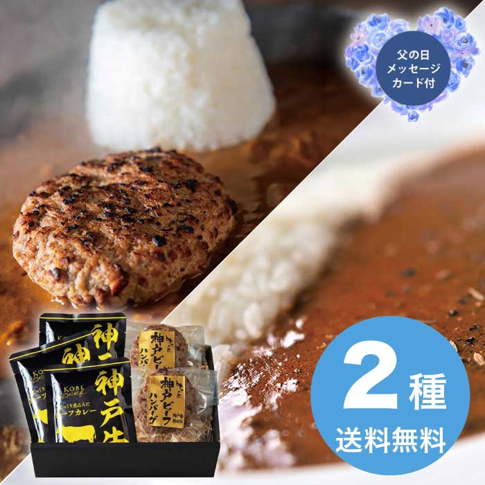 樂天商城 - 父の日 6/19-21お届け 神戸ビーフハンバーグ＆カレー詰合せ 2026 ギフト ハンバーグ 肉汁 4000円 冷凍 送料無料 食品 [直送商品]