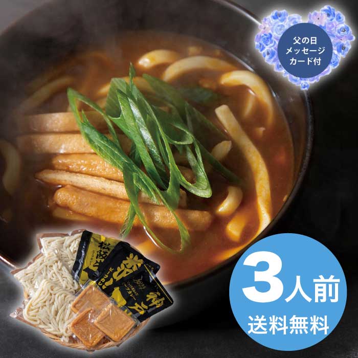 母の日 5/8-10お届け ブランド和牛カレー×讃岐うどん 3人前 2026 ギフト 麺類 麺 うどん 3000円 送料無料 食品 [直送商品]