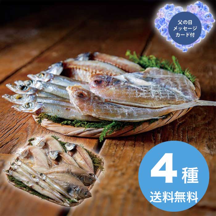 樂天商城 - 母の日 5/15-17お届け 山陰海鮮一夜干しセット 2026 ギフト 魚介 干物 ひもの 取り寄せ 詰め合わせ 贈り物 和食 4000円 冷凍 送料無料 食品 [直送商品]
