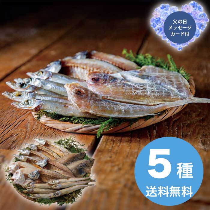 樂天商城 - 母の日 5/15-17お届け 山陰海鮮一夜干しセット 2026 ギフト 魚介 干物 ひもの 取り寄せ 詰め合わせ 贈り物 和食 5000円 冷凍 送料無料 食品 [直送商品]