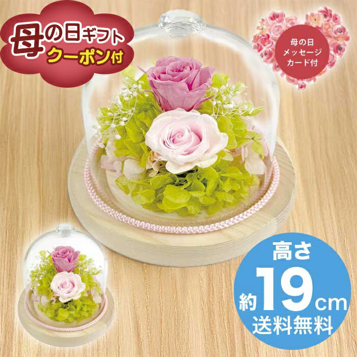 Rakuten - ＼期間限定500円OFFクーポン付／母の日 5/8-10お届け ジュエルガラスドーム　ピンク 2026 ギフト ブリザードフラワー HANA 花 hana お祝い プレゼント 3000円 送料無料 [直送商品]