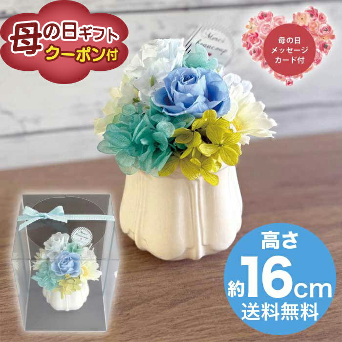 干花花 - ＼期間限定500円OFFクーポン付／母の日 5/8-10お届け プリザーブドフラワーアレンジメント　パルフェ　ブルー 2026 ギフト ブリザードフラワー HANA 花 hana お祝い プレゼント 3000円 送料無料 [直送商品]