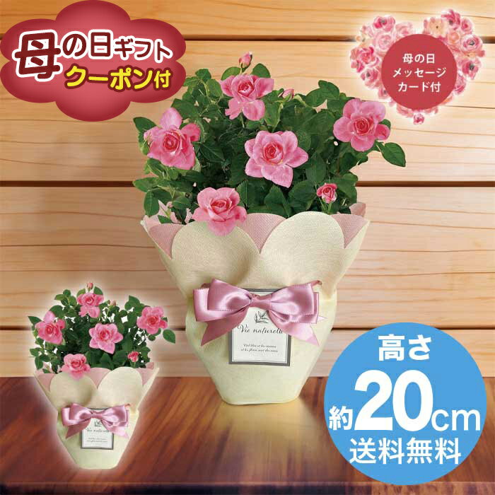 Rakuten - ＼期間限定500円OFFクーポン付／母の日 5/8-10お届け ミニバラ ピンク4号 2026 ギフト HANA 花 hana お祝い プレゼント 4000円 送料無料 [直送商品]