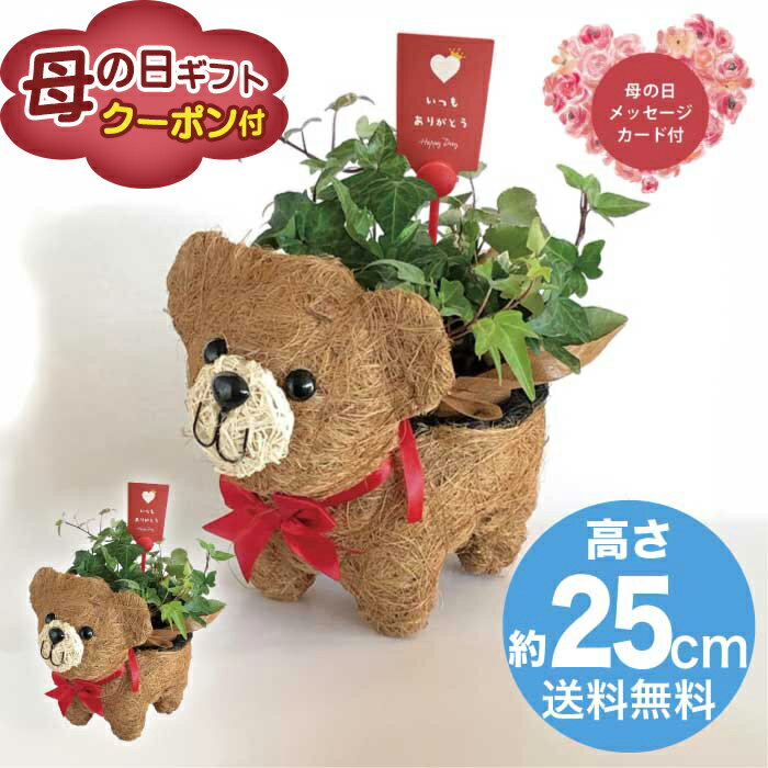 五花肉 - ＼期間限定500円OFFクーポン付／母の日 5/8-10お届け おさんぽクマさん3号 2026 ギフト HANA 花 hana お祝い プレゼント 4000円 送料無料 [直送商品]