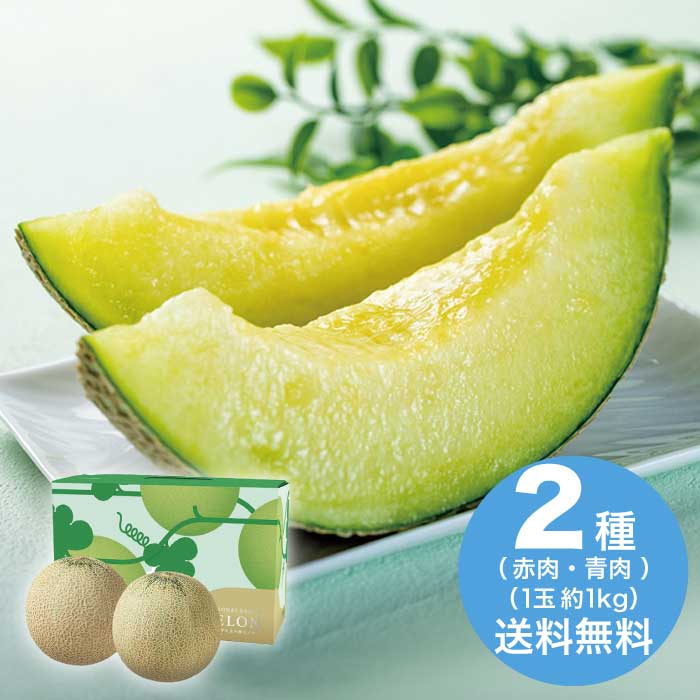 お中元 山形県産 JA鶴岡 庄内砂丘メロン2玉(赤・青) 2026 ギフト フルーツ 旬 デザ...