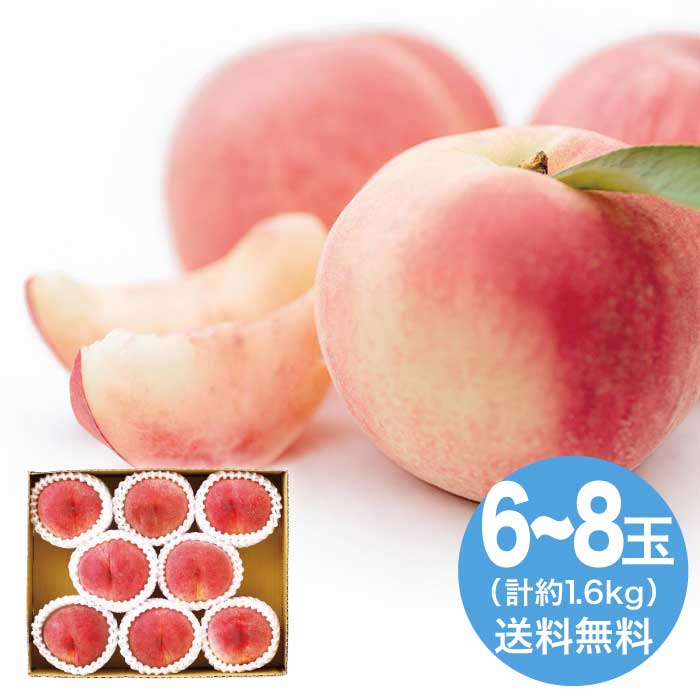 お中元 山梨県産 水蜜桃6～8玉 2026 ギフト フルーツ 旬 デザート 桃 momo 販売 果物 ...