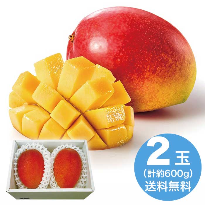 お中元 沖縄県産 マンゴー 2026 ギフト フルーツ 旬 デザート マンゴー 7000円 冷蔵 送料無料 食品 [直送10]