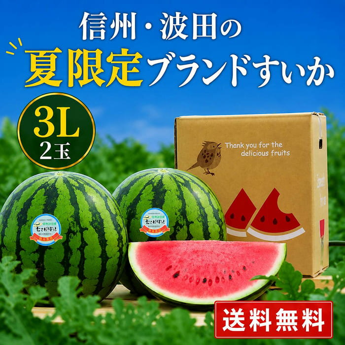 楽天市場】西瓜 羅皇の通販