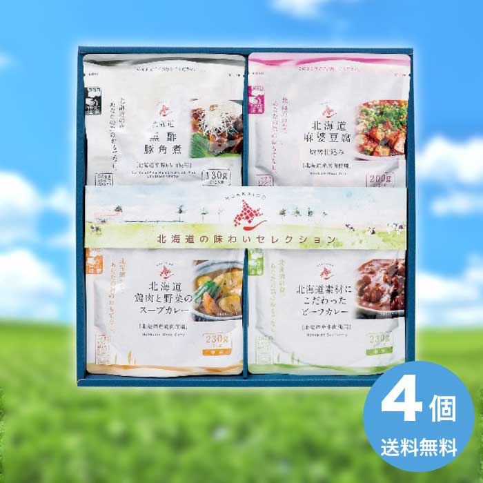  お中元 北海道の味わいセレクション HAS-30 洋食 カレー スパイス レトルト スープカレー カレー 3000円 送料無料 食品 