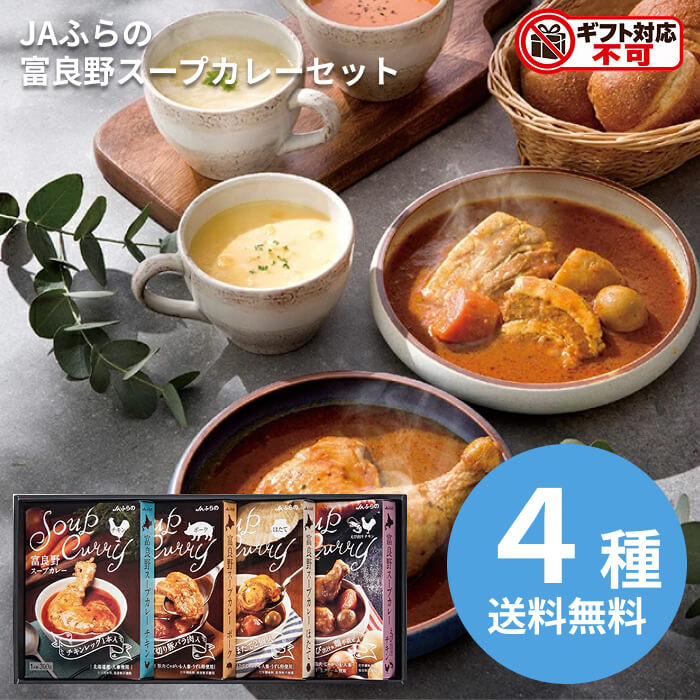 JAふらの 富良野スープカレーセット FSC-40 カレー スパイス レトルト プロ スープカレー 送料無料 食品 [直送10]