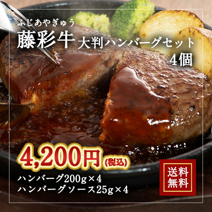 株式会社フジチク [冷凍][直送5]藤彩牛 大判ハンバーグ 200g×4個セット 送料無料 2535