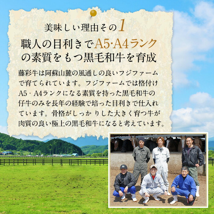 株式会社フジチク [冷凍][直送5]A5-A4 藤彩牛 モモ 焼肉 300g 送料無料