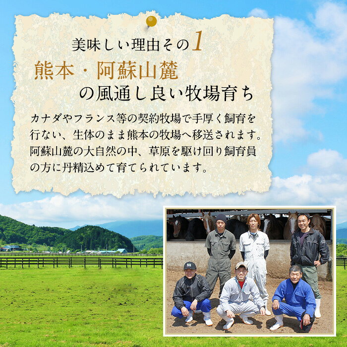 株式会社フジチク [冷凍][直送5]ふじ馬刺し 詰合せ 雅 送料無料 2555 uma-iru-10001010 うまいる サンプル画像2