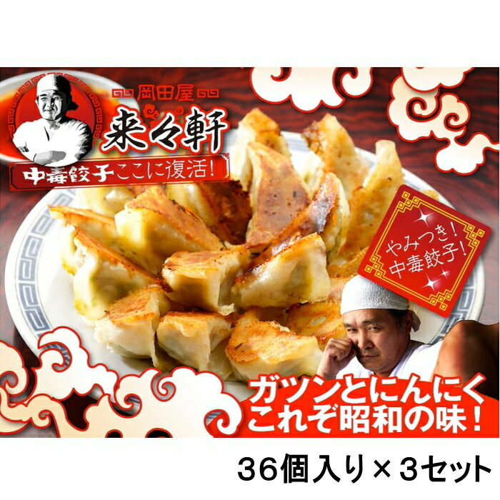 岡田屋 [冷凍][直送3]手作り やみつき餃子 36個入り まとめ買い ×3セット 約12人前
