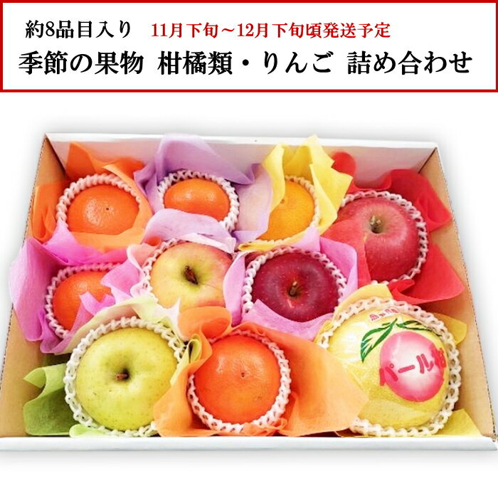 季節の果物 柑橘類・りんご等 約8品目 詰め合わせ [直送商品]【綿半お歳暮】【11月下旬～12月下旬順次発送】【配送指定日不可】