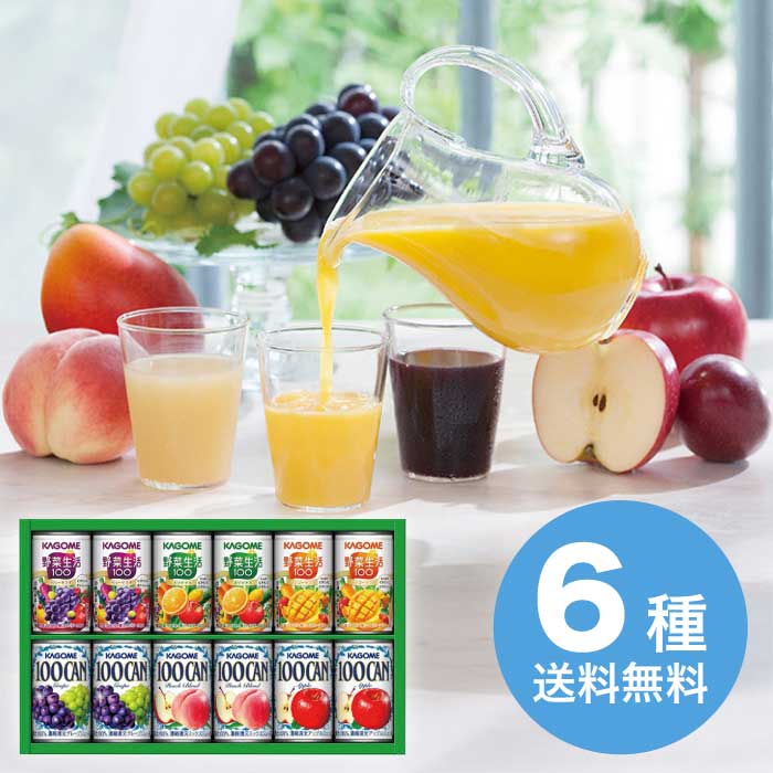 カゴメ すこやかファミリーギフト 2026 ギフト ドリンク 野菜ジュース 3000円 送料無料 食品 [直送商品]