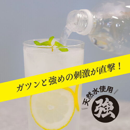 綿半プライベートブランド [取寄10][1ケース]ラベルレスレモン炭酸水 1L×12本 [458...