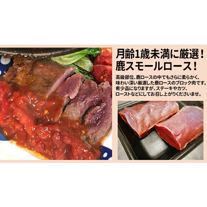 肉のスズキヤ [冷凍][直送10]鹿スモールロース 280～310g 【配送指定日不可】6128