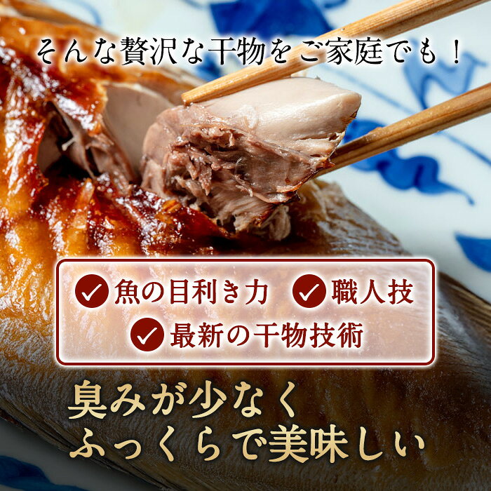 干物セットの選び方｜サイズ感・用途・レビュー・価格を由比が暮らし目線でチェック 商品画像 3