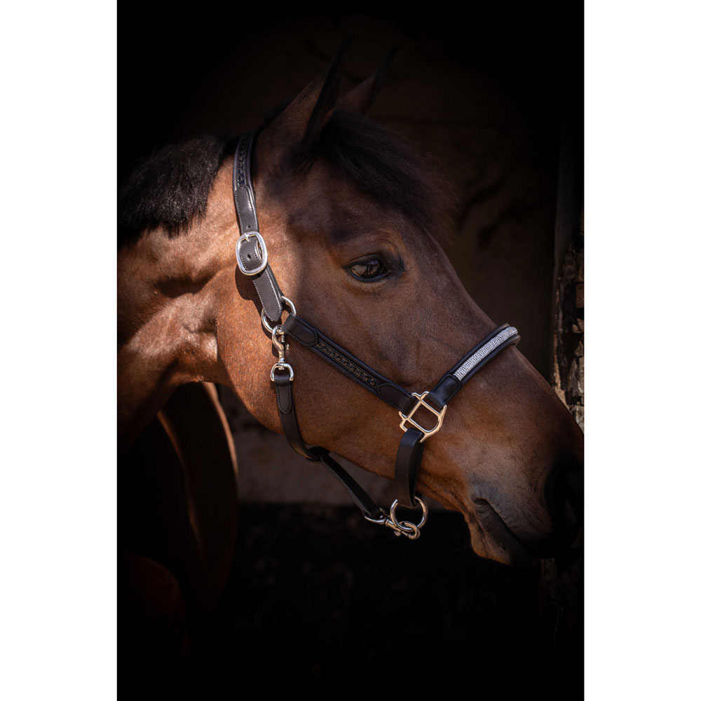 Penelope　ペネロペ　レザー無口　ハーモニー　乗馬用品　馬具　革無口　本革　ラ...