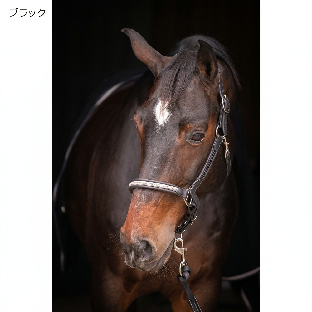 Penelope　ペネロペ　レザー無口　ハーモニー　乗馬用品　馬具　革無口　本革　ラ...