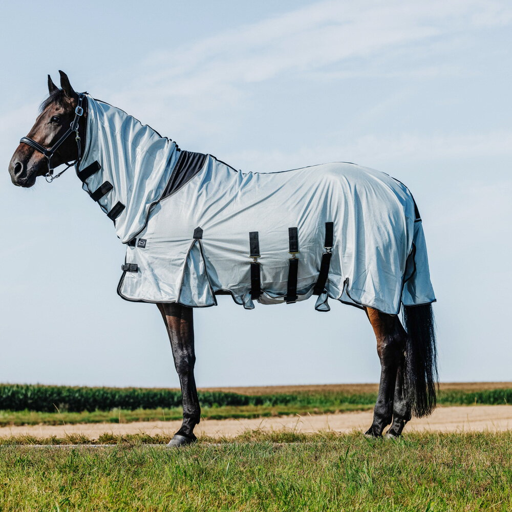 Rakuten - 腹巻付き虫よけ馬着　R/W　ベリーメッシュ　コンボシート-グレー（125cm~155cm）｜乗馬　馬具　ラグ　メッシュ　虫除け　ネック付き　放牧　クオーターホース　サラブレッド　中間種