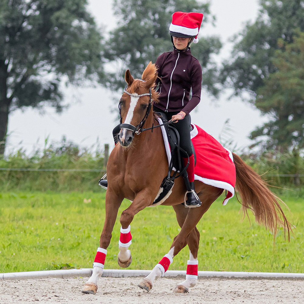 QHP�����ꥹ�ޥ��Х�ơ������åȡþ������ʡ��϶��ϡ����ꥹ�ޥ���Xmas X'mas�������ץ졡���������󥿡��ȥʥ������ץ��ƥ��������贬