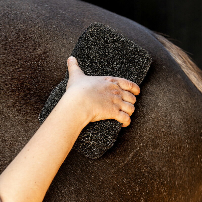 QHPエクイスーパーシャイナー