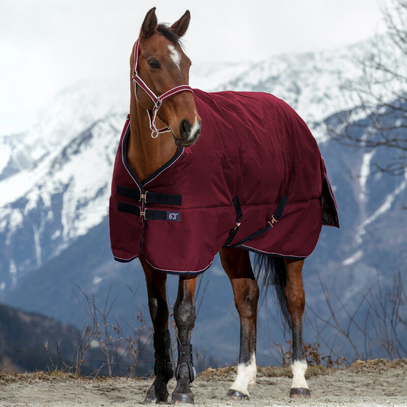Equi-Themere タイレックスターンアウトラグ-300g |馬着 乗馬用品 冬用 厚馬着 中綿入り 暖かい ワイン色 赤系