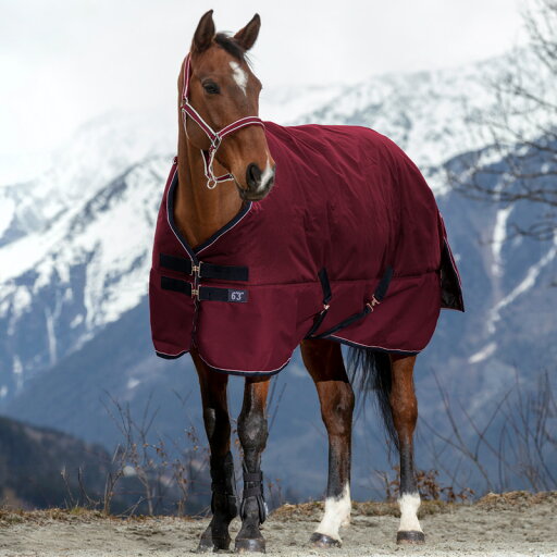 Equi-Themeタイレックス1200Dターンアウトラグ450g Equi-Themeタイレックス1200Dターンアウトラグ450g