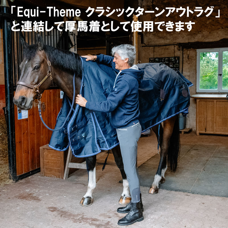 Equi-Theme���饷�å��ե꡼��������