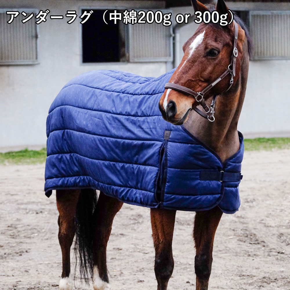 Equi-Theme�����饷�å������󥢥��ȥ饰-1200D/200g��3�����åȡ�����200g���������饰+�ͥå����С�+��������饰������200g���åȡ�58,300������300g���åȡ�60,500�� | ���������ʡ����塡�����塡�����塡�ɿ塡���ʡ�����ʡ����Ȥ������Ť��塡���դ������ҡ�����