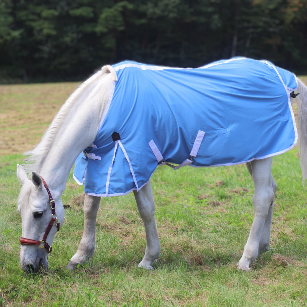 LTE���ǥ��֥륵�ޡ������ȡ��á����塡�������ʡ��϶񡡥饰�����åȥ����塡�ݥꥳ�åȥ������塡�ϰᡡ���������ס����