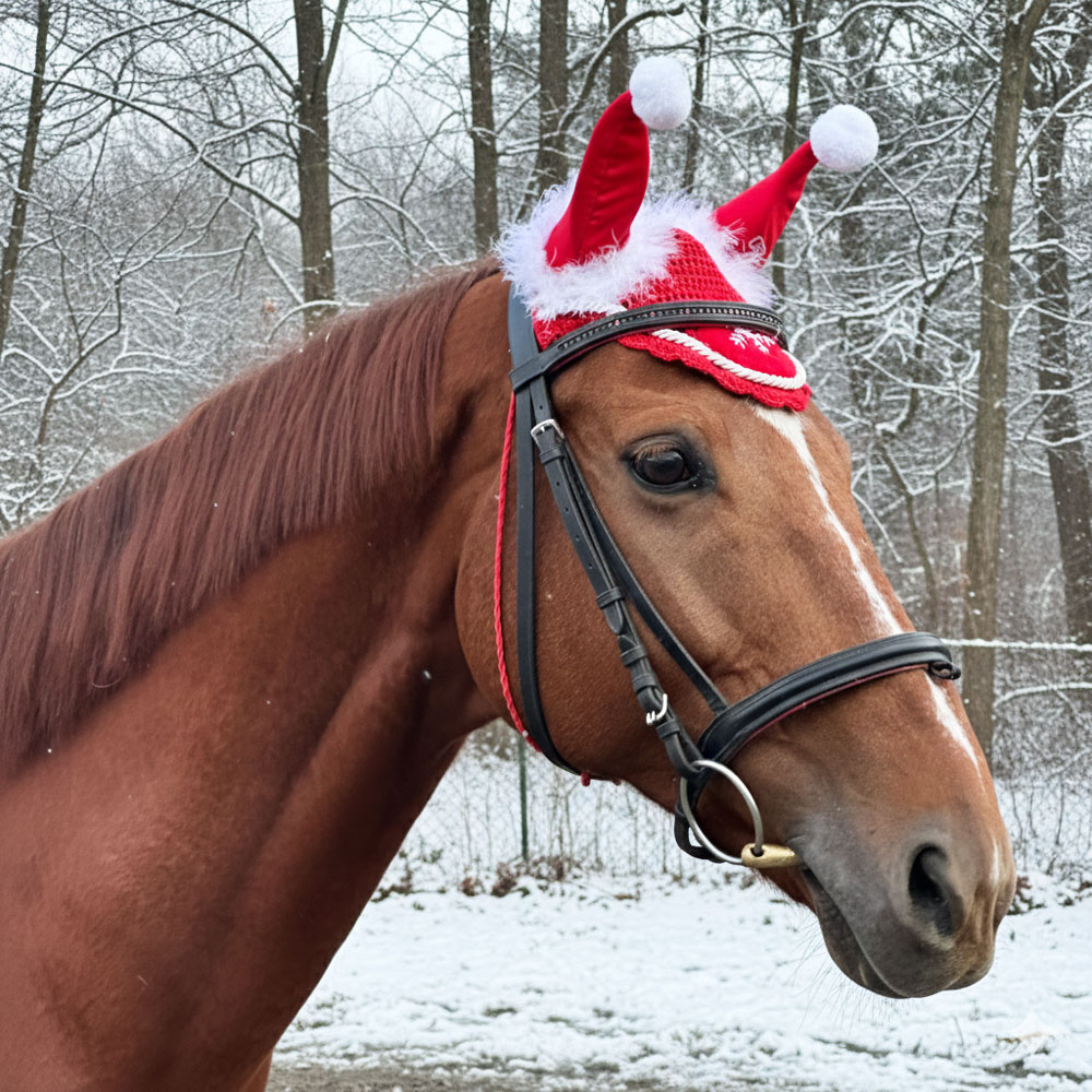 QHP　クリスマスイヤーネット｜乗馬用品　馬具　馬　クリスマス　Xmas X'mas　コス...