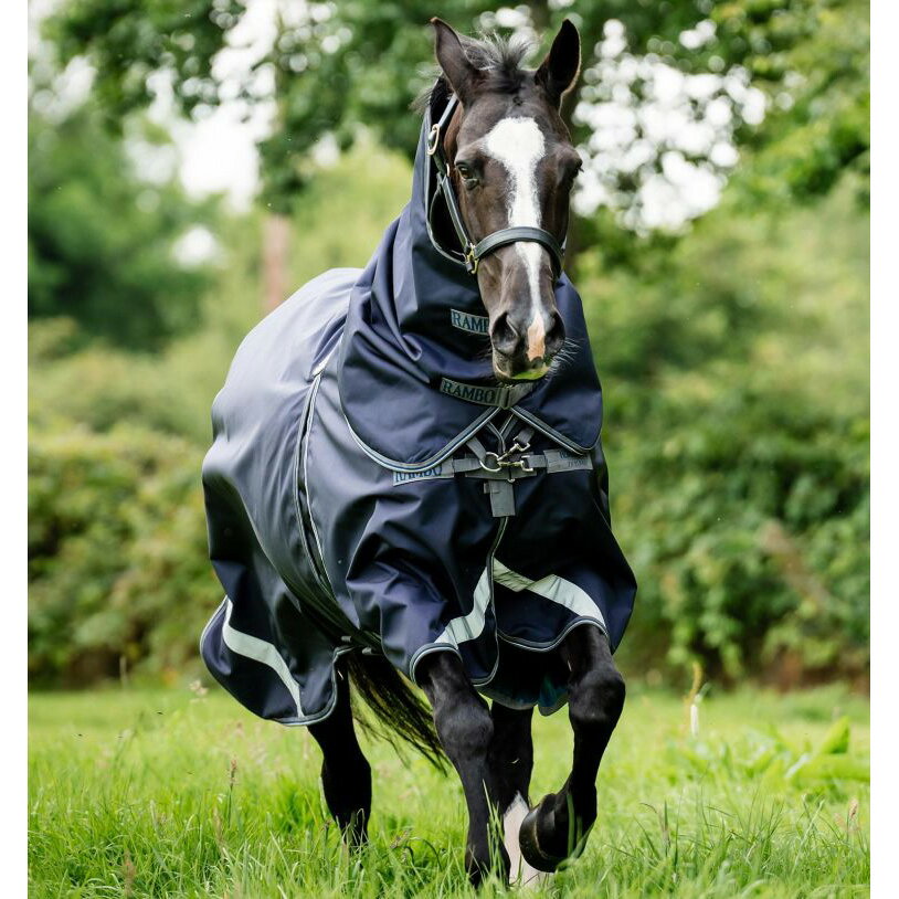 �ۡ��������������ܡ���HORSEWEAR Rambo�ˡ����ץƥ���ץ饹�������󥢥��ȥ饰���Х�ɥ��0g��������+400g����ʡ��ˡá����塡���ѡ�Ķ�Ȥ�����2��Ť͡��ɿ塡���ס��ѵ�����ư���䤹������������ɡ����ʡ��Ť��塡����ʡ������դ����ͥå����С������ҡ�����