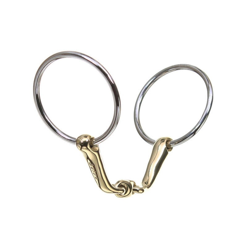 NS �Х���ǥ���12�ʾ��ա�