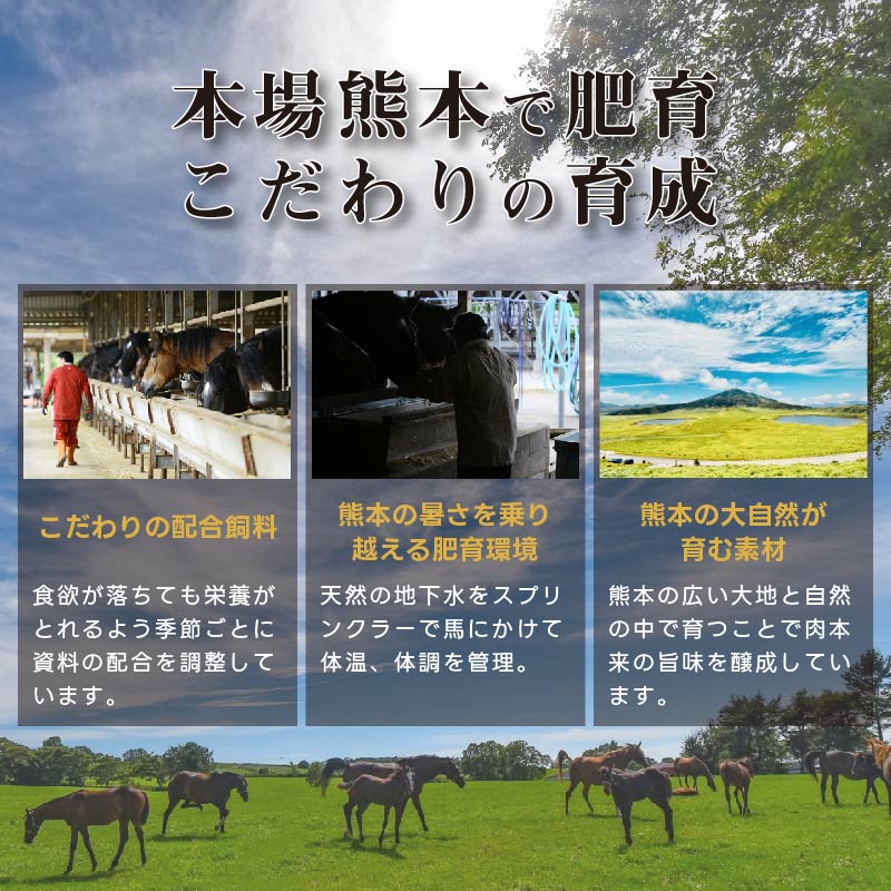 熊本馬刺し 6種盛合せ 300g6〜7人前（ トロ50g ヒレ50g ロース50g 上赤身50g フタエゴ50g タテガミ50g）オリジナル馬刺醤油付き お歳暮 プレゼント ギフト 刺身 桜肉 馬肉 肉刺し ユッケ 送料無料 ダイエット 冷凍