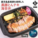 【冷凍海苔弁 黒豚とんテキ海苔弁16食セット】 簡単 レンチン 冷凍食品 冷凍惣菜 惣菜 九州 ご当地 美味しい グルメ 和食 温めるだけ 九州グルメ 海苔弁 時短 保存 のり弁当 冷凍弁当 ご飯付き セット ごはん付き 冷凍お弁当通販 冷凍海苔弁 とんテキ 海苔弁 UMACA