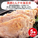 UMACA 黒豚とんテキ海苔弁5食セット 冷凍弁当 海苔 のり弁 海苔弁 弁当 レンチン 冷凍食品 冷凍惣菜 九州 ご当地 美味しい グルメ 和食 温めるだけ 時短 保存 黒豚 とんテキ 1